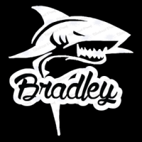 Vinyl Decal Name - Shark