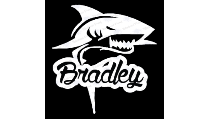 Vinyl Decal Name - Shark
