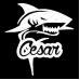 Vinyl Decal Name - Shark