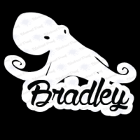 Vinyl Decal Name - Octopus