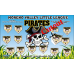 Pirates - Baseball T-ball - Team Banner Design 