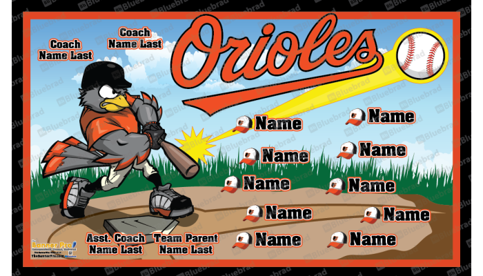 Orioles 2006190341 - Baseball - T-ball - Team Banner Design  
