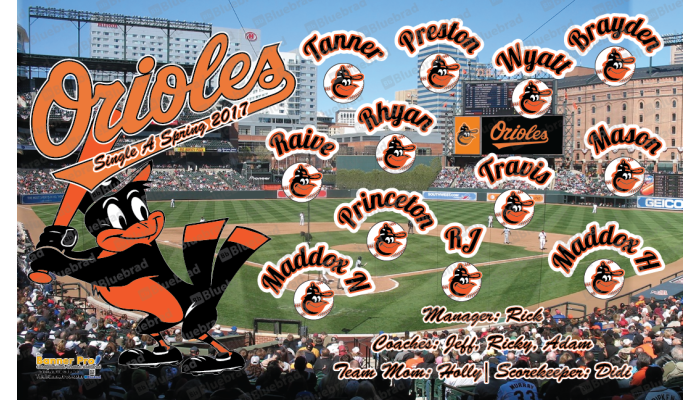 Orioles 2 - Baseball - T-ball - Team Banner Design  