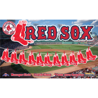 RED SOX - Baseball T-ball - Team Banner Design 