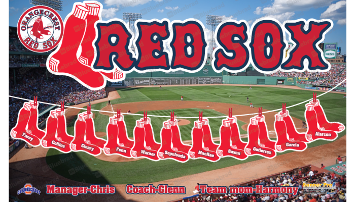 RED SOX - Baseball T-ball - Team Banner Design 