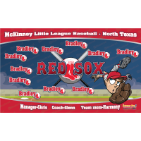 Red Sox - Baseball - T-ball - Team Banner Design