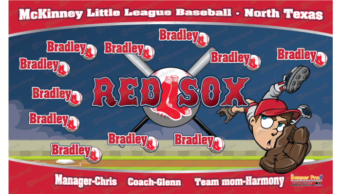 Red Sox - Baseball - T-ball - Team Banner Design
