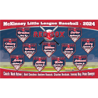Red Sox - Baseball - T-ball - Team Banner Design