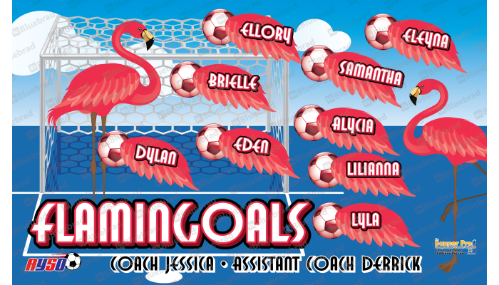 Flamingoals 1 - Team Banner Design 