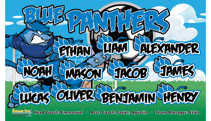 Blue Panthers 1 - Soccer - Team Banner Design 