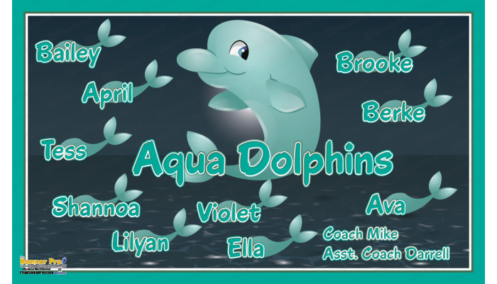 Aqua Dolphins 1 - Team Banner Design 