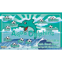 Aqua Dolphins 2 - Team Banner Design 