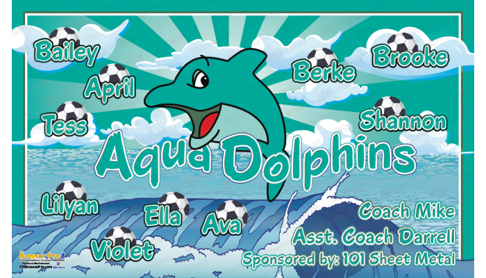 Aqua Dolphins 2 - Team Banner Design 