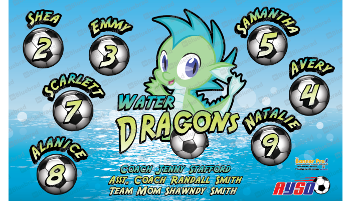 Water Dragon 1 - Soccer - Team Banner Design 