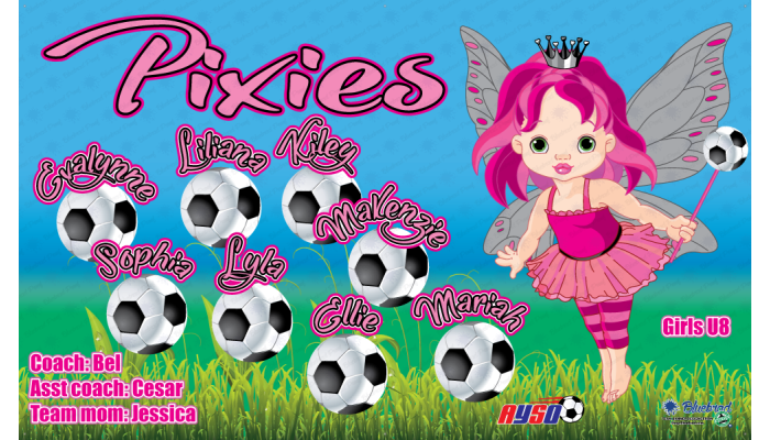 Pixies - Soccer - Team Banner Design 