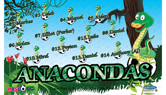 ANACONDAS - Soccer - Team Banner Design 
