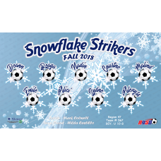 Snowflake Strikers - Team Banner Design 