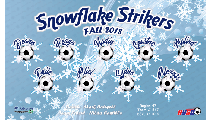 Snowflake Strikers - Team Banner Design 