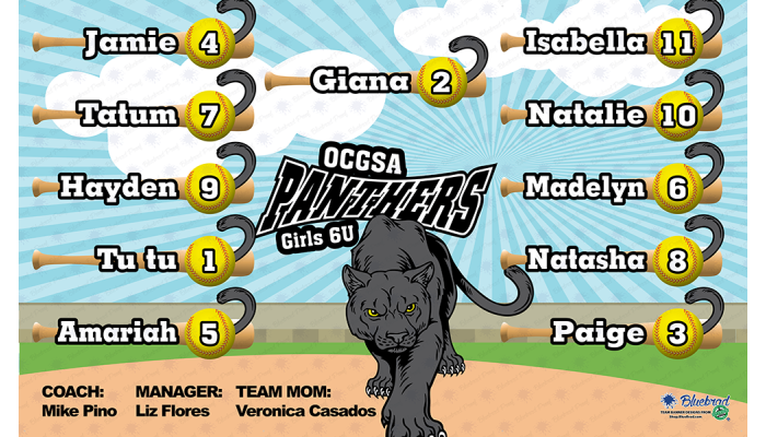 Panthers - Baseball - T-ball - Team Banner Design