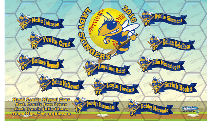 Stingers - Softball - Team Banner Design 
