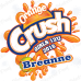 Orange Crush- Softball - Team Banner Design 